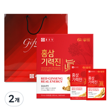 종근당 홍삼 기력진 30p + 쇼핑백, 2개, 30회분