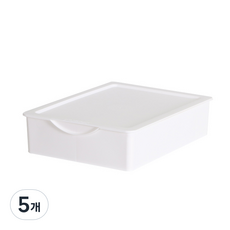 리빙해피 키친아트 속옷 정리함 1slot, 화이트, 5개
