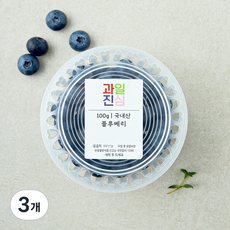 국내산 과일진심 블루베리, 3개, 100g