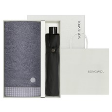 송월타월 타올 톤 타올 + SW 3단 컬러무지 우산 선물세트 + 쇼핑백, 혼합색상, 1세트