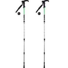 Organico 硬鋁4節折疊式T字型超輕量登山杖 2入, 綠色