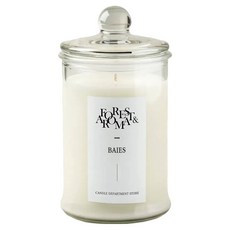 캔들백화점 포레스트 아로마 캔들, 베이, 750g, 1개