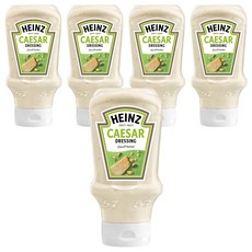 하인즈 시저 샐러드 드레싱, 413.5g, 5개