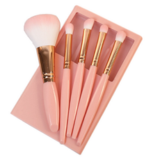 디에스 휴대용 멀티 브러쉬 5종 세트, 1개, 핑크