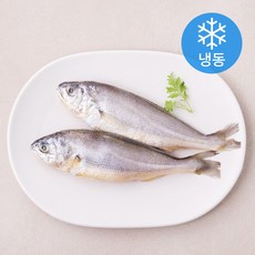 참조기 2마리 (냉동), 240g, 1개