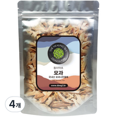 동이약초 모과, 250g, 4개