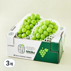 옹골찬 경산 GAP 샤인머스캣 2~3수, 1.5kg, 3개