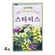 다농 스타티스 씨앗 1g, 4개