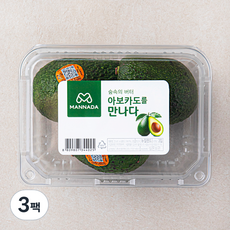 만나다 뉴질랜드산 아보카도 3입, 600g, 3팩