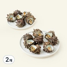 남해안 산지직송 자연산 생물 뿔소라 (냉장), 2kg, 2개