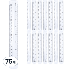 델리 잡기 쉬운 자 20cm, 투명, 75개