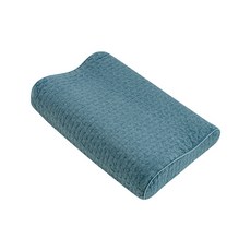 쉬즈홈 국내 제조 힐링 피그먼트 메모리폼 베개커버