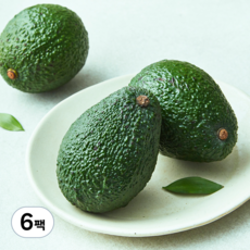 곰곰 페루산 아보카도 3입, 600g, 6팩