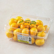탐라황감 당도선별 10brix 하우스감귤, 1.2kg(랜덤과), 2개