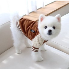 강아지 골덴 바시티 자켓 HDJK00351, 브라운, 1개