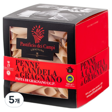 파스티피치오데이캄피 프리미엄 펜네 파스타면, 500g, 5개