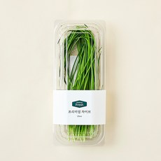 프리미엄 차이브, 10g, 1개