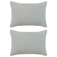 shez Home 韓國製造 療癒顏料染枕頭套 2入