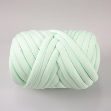 피어니스트 자이언트얀 점보 핑거니팅 손뜨개실 250g, 민트, 1개