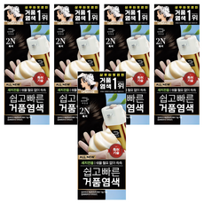 미쟝센 올 뉴 쉽고 빠른 거품 염색제, 2N흑색, 5개