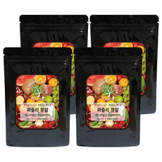 스쿨아이 이스라엘산 파슬리 분말, 200g, 4개