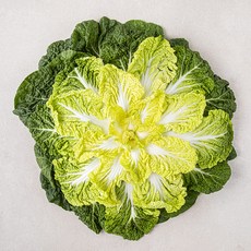 곰곰 국내산 봄동, 500g, 1봉