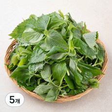 국내산 깻순, 170g, 5개
