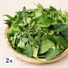 국내산 생고추잎, 200g, 2개