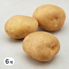 한끼 햇 감자, 350g, 6개