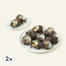 남해안 산지직송 자연산 생물 뿔소라 (냉장), 1.5kg, 2개