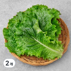 GAP 한끼 청상추, 80g, 2개