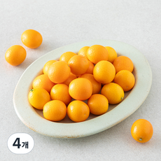 올푸릇 GAP 인증 금귤, 4개, 500g