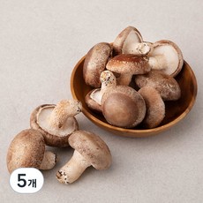 친환경 표고버섯, 300g, 5개