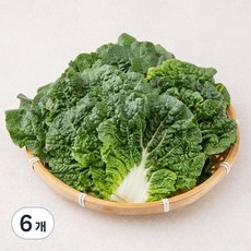 국내산 쌈추, 200g, 6개