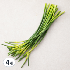 국내산 마늘종, 200g, 4개