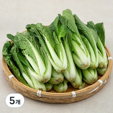 국내산 얼갈이, 1kg, 5개