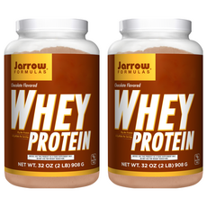 재로우 웨이 프로틴 파우더 초콜릿맛, 908g, 2개