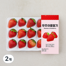 무주 여름 딸기, 2개, 300g(15과내)