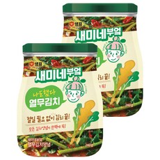 새미네부엌 열무김치 양념, 240g, 2개