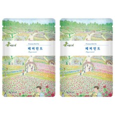 areumdre 胡椒薄荷茶三角茶包, 1.1g, 25入, 2個