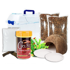 Rora Pet 寄居蟹飼養套組, 混合顏色