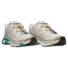 SALOMON 男款 Gore-Tex Rainy Day Chinchilla 機能山系 慢跑登山鞋 XT-6