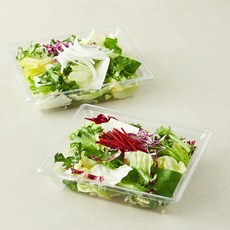 곰곰 어니언 앤 비트 콤보팩 샐러드채소 아삭한 비트 + 어니언 소프트 세트 160g, 2개입, 1세트