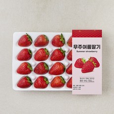 무주 여름 딸기, 1개, 300g(24과내) 1개, 300g(24과내)