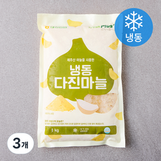 대정농협 다진마늘 (냉동), 1kg, 3개