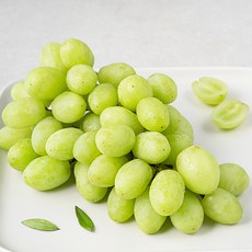 곰곰 페루산 씨없는 청포도, 450g, 1팩