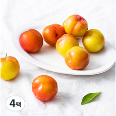 새벽경매 새콤달콤 하우스 꼬마자두, 300g(7~9입), 4팩