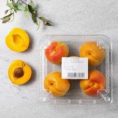 하코트 살구, 400g, 1팩