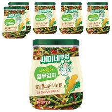 새미네부엌 열무김치 양념, 240g, 6개