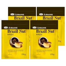 리치팜너트 브라질넛, 270g, 4개